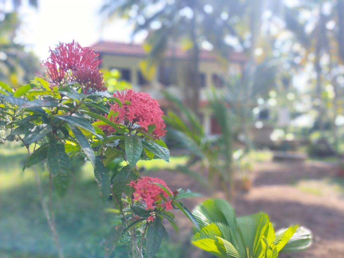 Resort Paddy Farm Heritage *