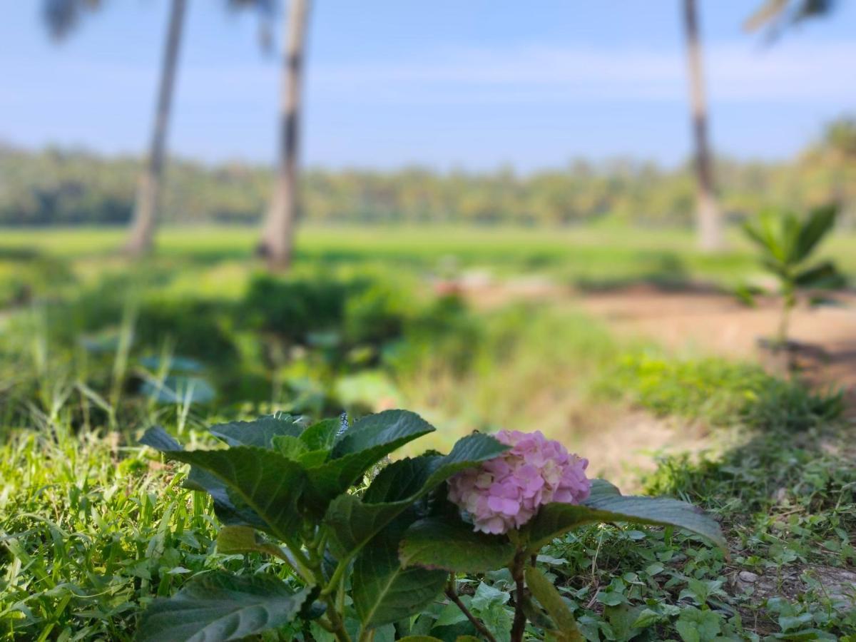 Resort Paddy Farm Heritage *