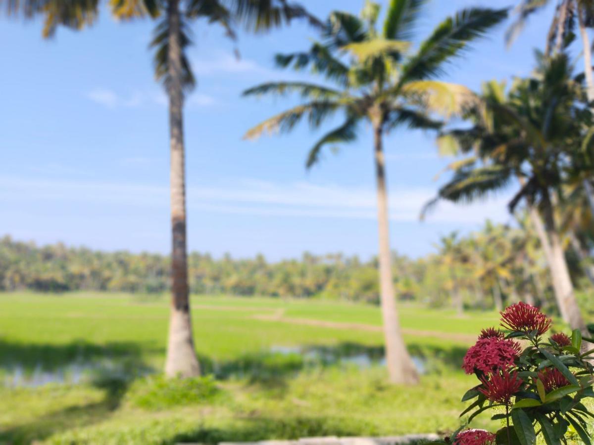 Resort Paddy Farm Heritage