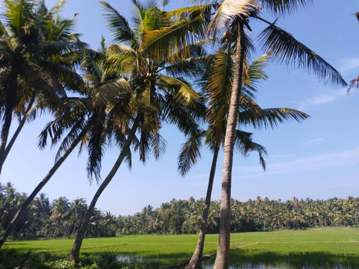 Paddy Farm Heritage Resort Varkala