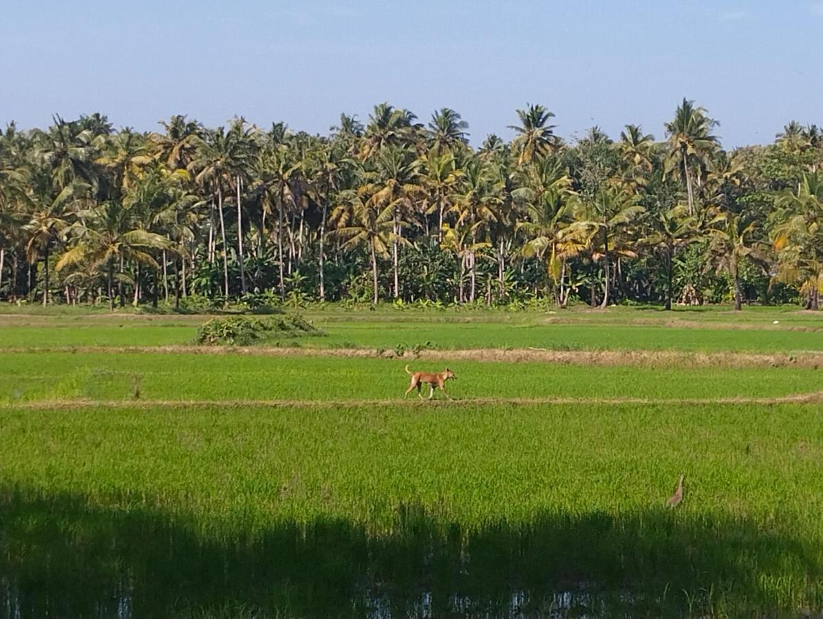 Paddy Farm Heritage Resort Varkala