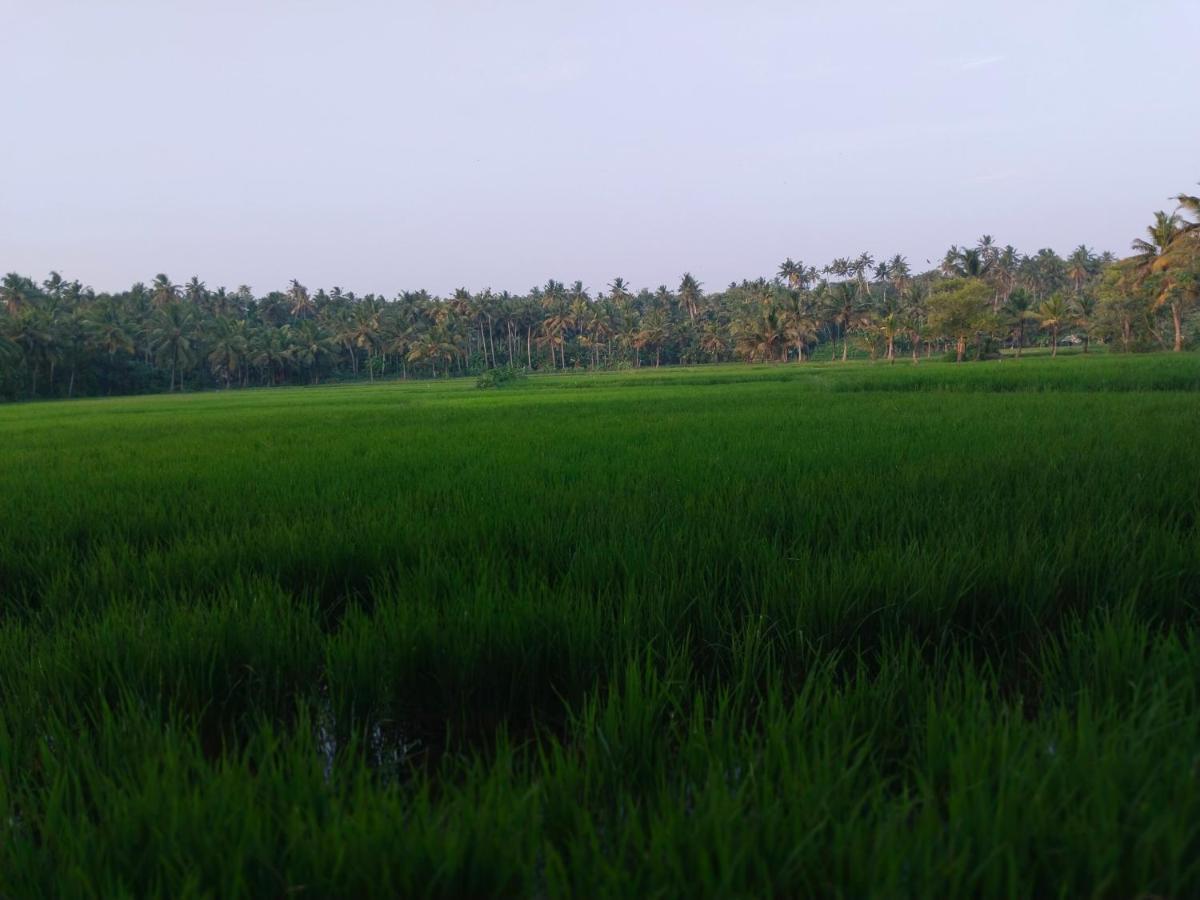 Resort Paddy Farm Heritage *