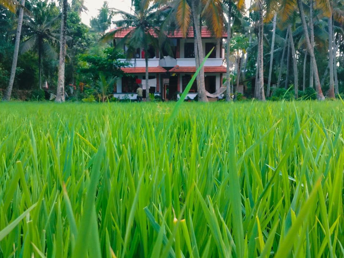 Paddy Farm Heritage * Varkala