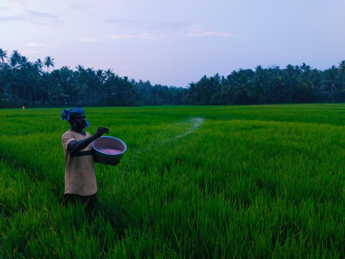 Paddy Farm Heritage *