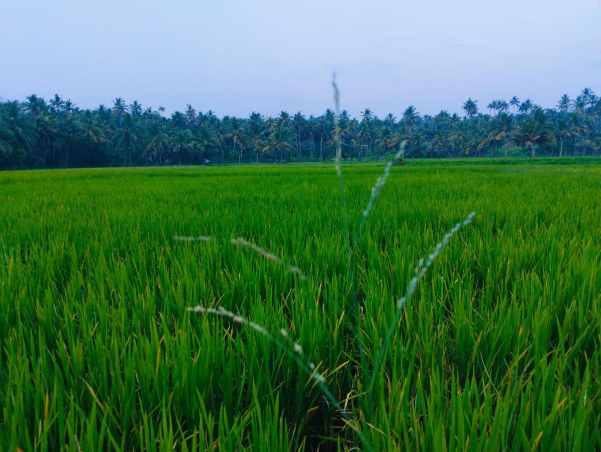 Resort Paddy Farm Heritage