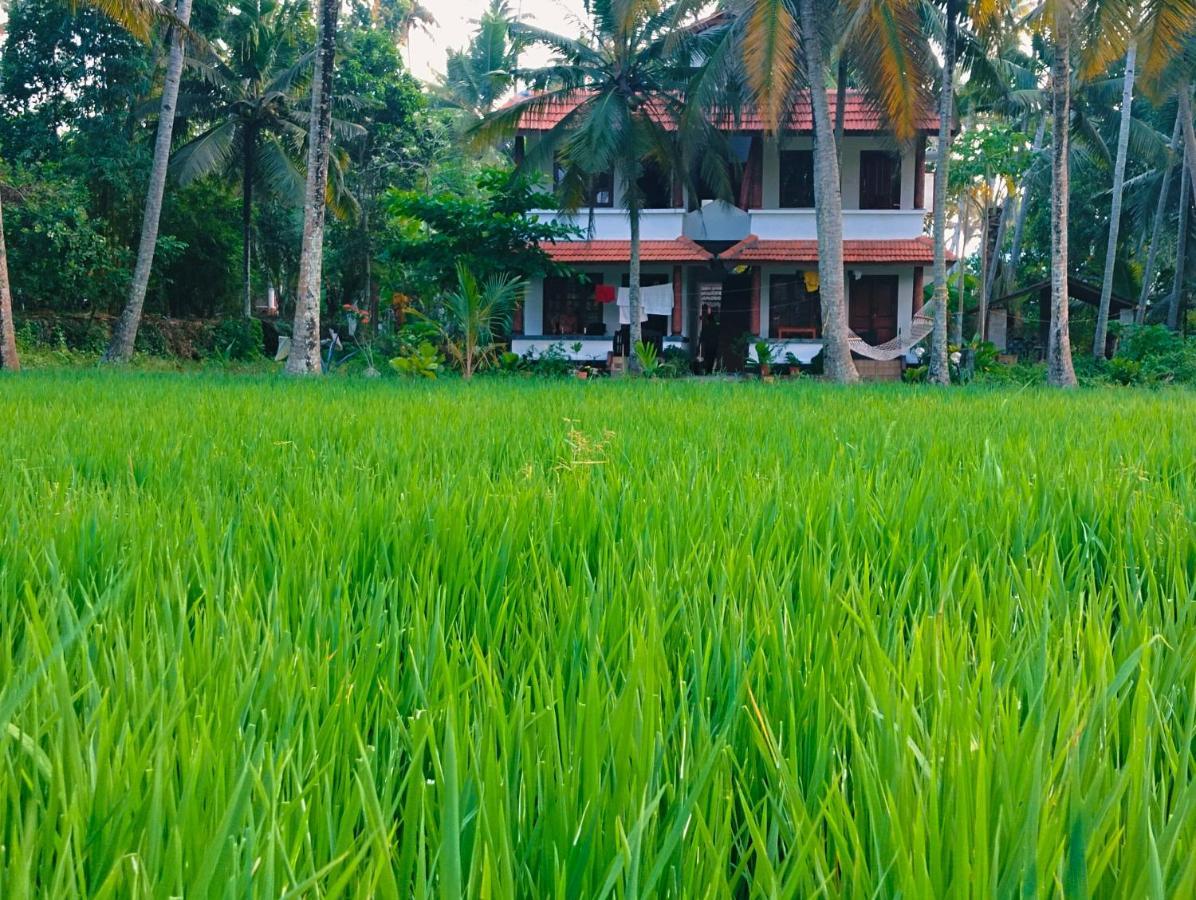 Paddy Farm Heritage Varkala