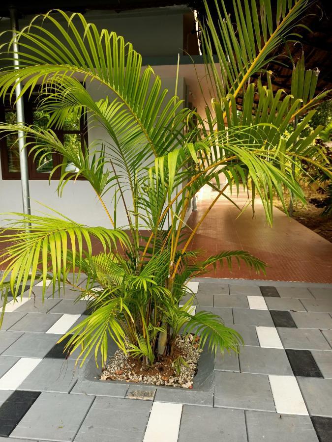 Amanzara Bed & Breakfast Varkala