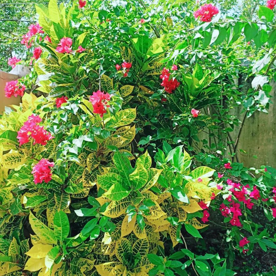 Amanzara Bed & Breakfast