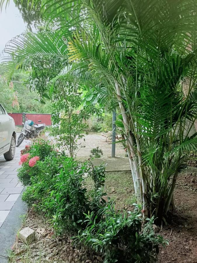 Amanzara Bed & Breakfast