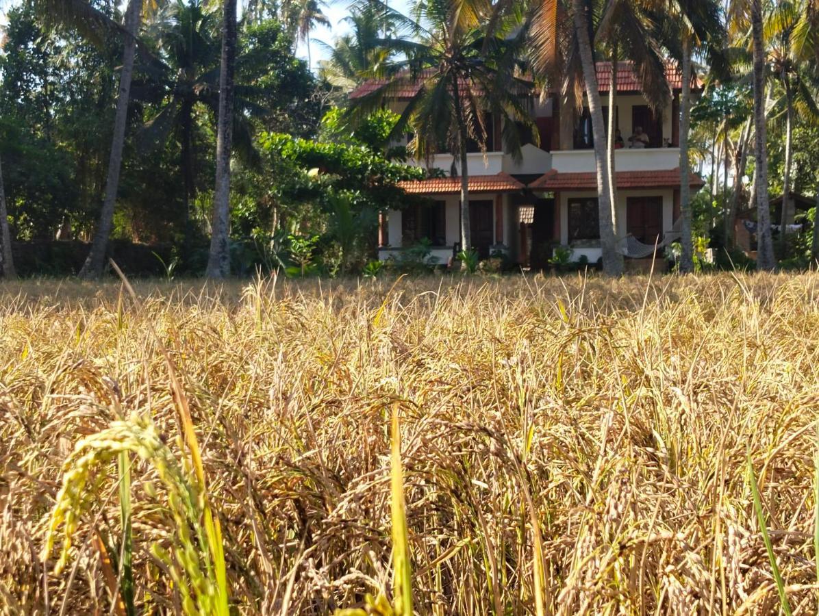 Resort Paddy Farm Heritage *