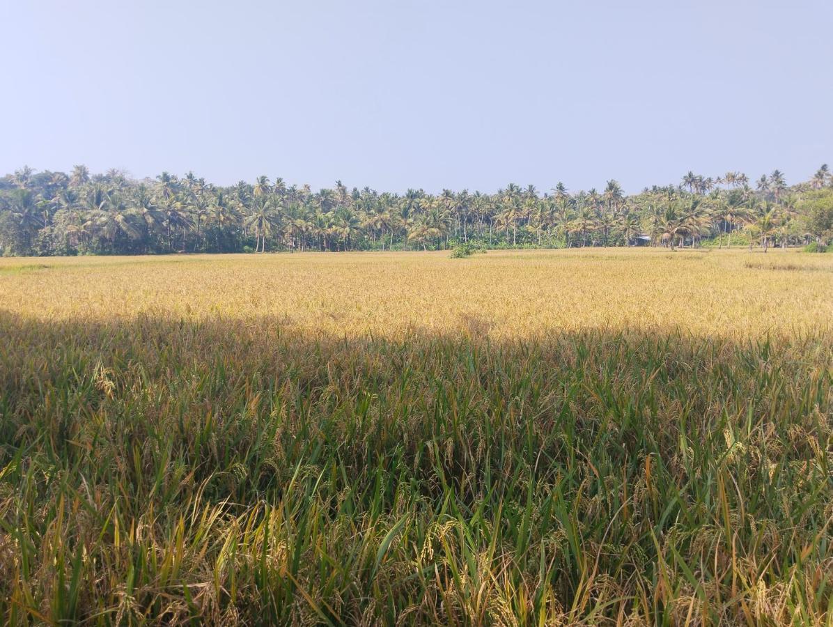Paddy Farm Heritage * Varkala