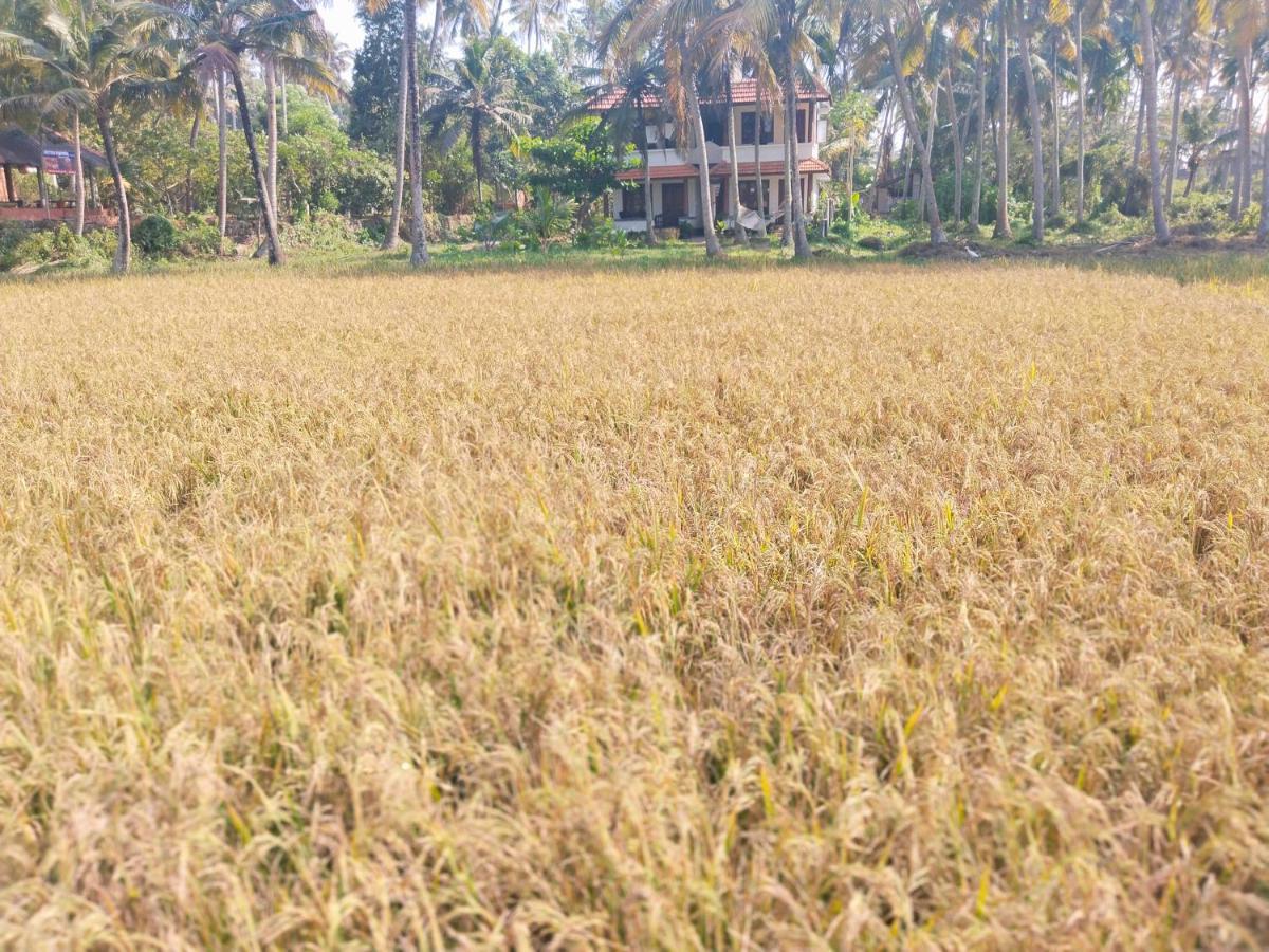 Resort Paddy Farm Heritage *