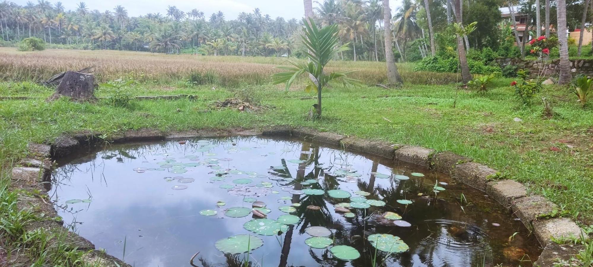 Paddy Farm Odayam Apartment