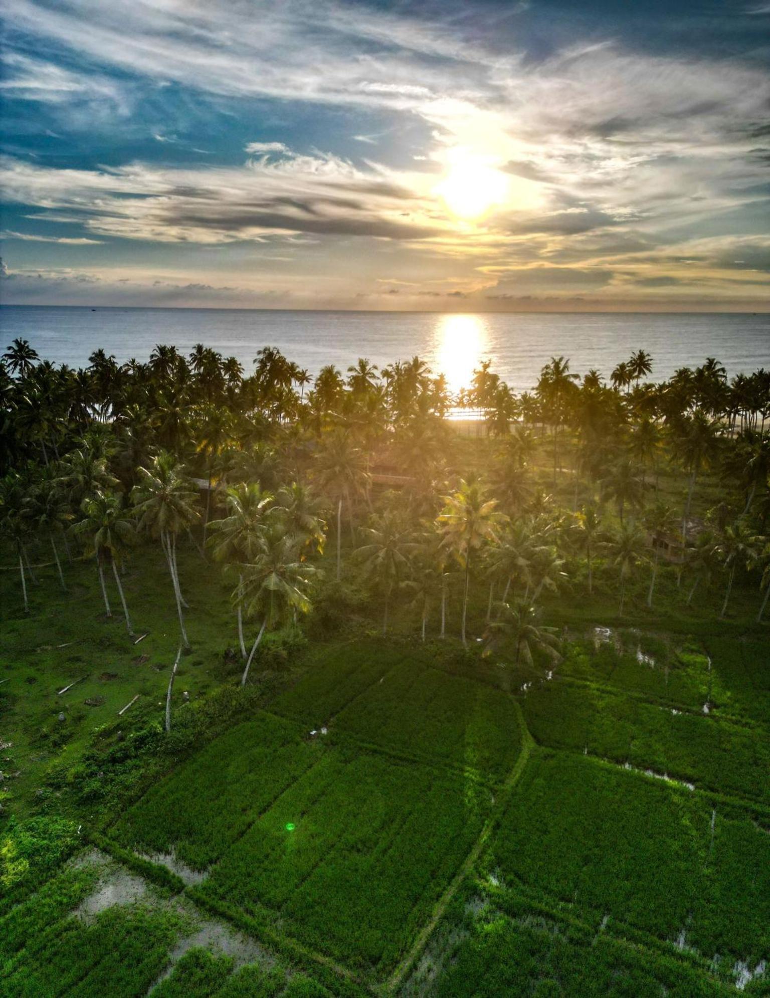 Paddy Farm Odayam *