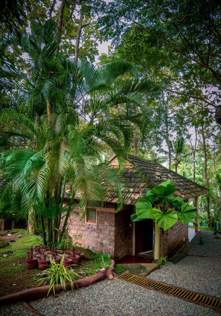 Vishram Village