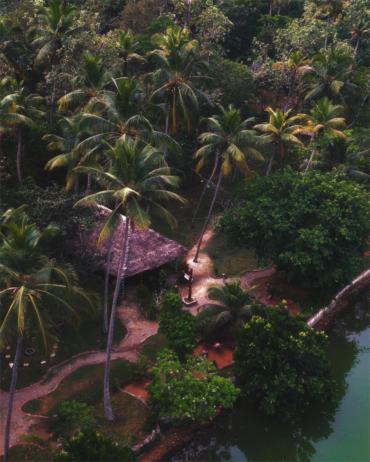 Hotel Vishram Village 3*
