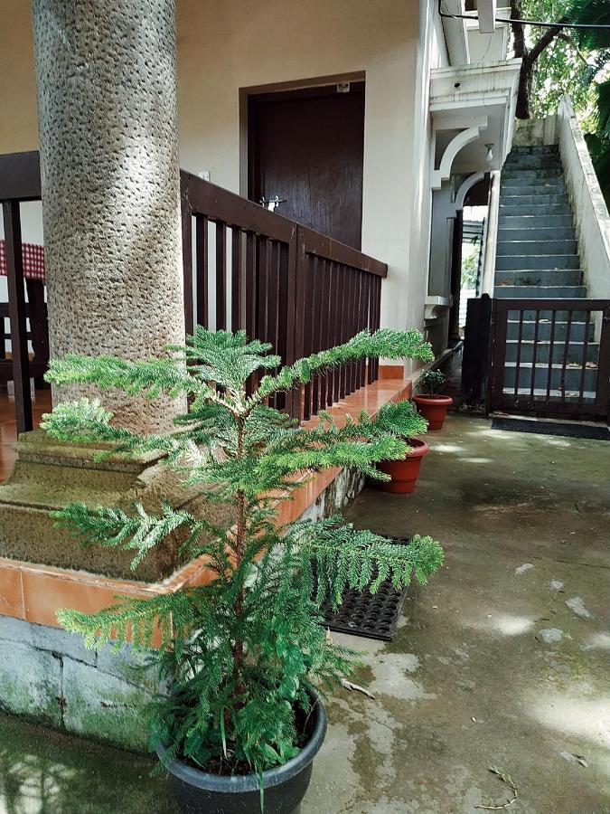 Rainbow Cliff Homestay * Varkala