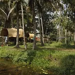 The Temple Tree Varkala