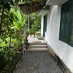Mangohome
