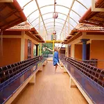 Dahlia Beach Resort