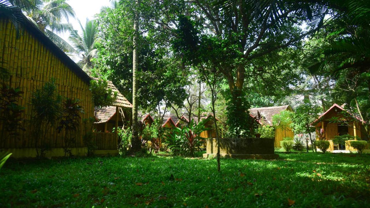 Savithri Varkala