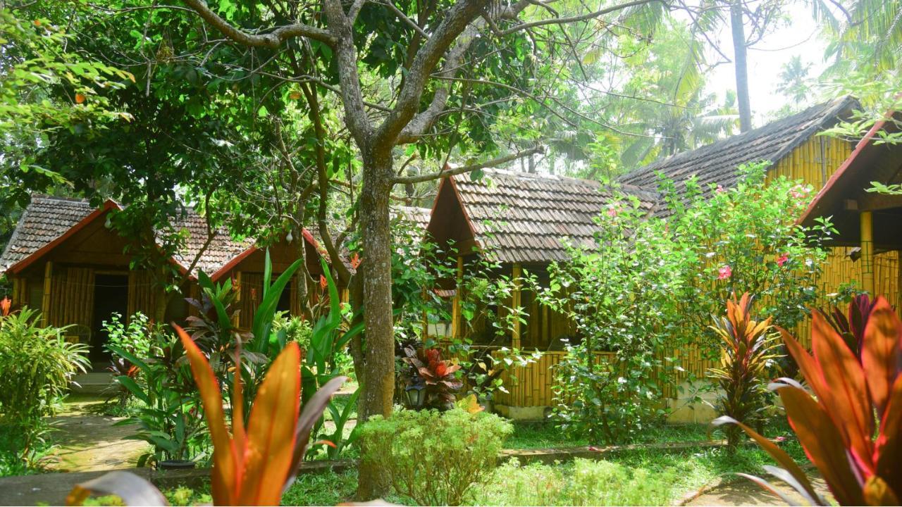 Savithri Varkala