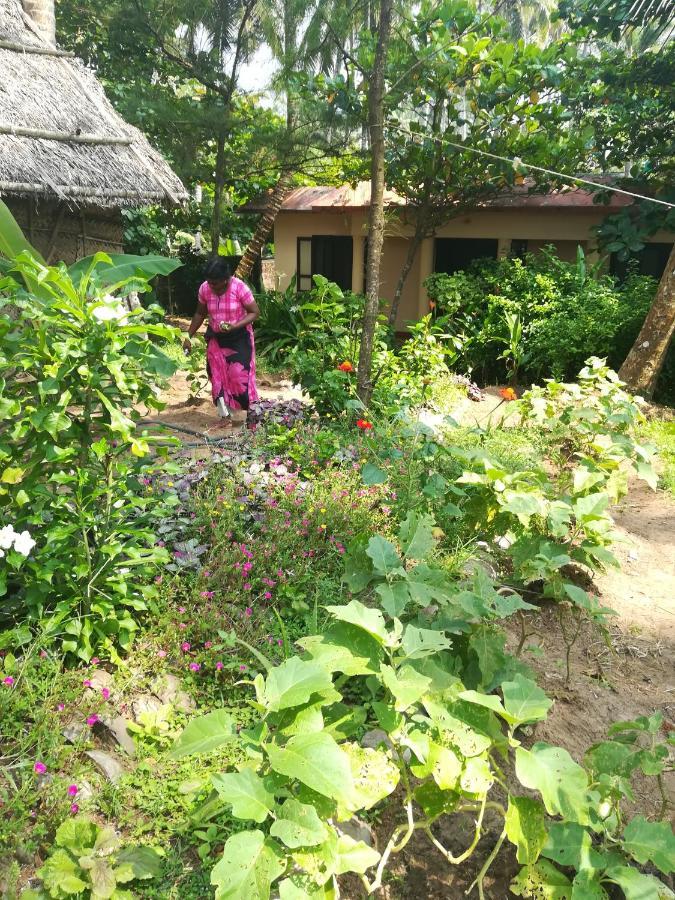 Resort Sukriti *