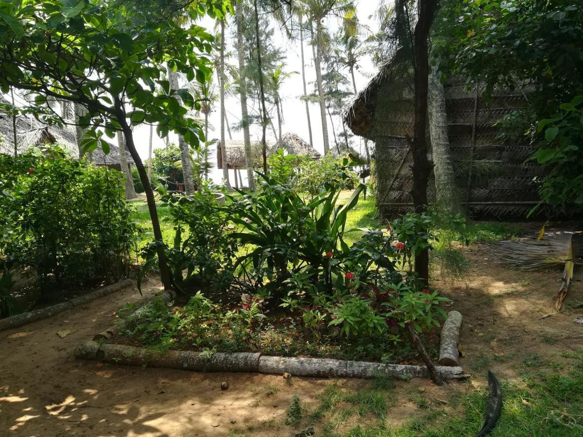 Sukriti * Varkala