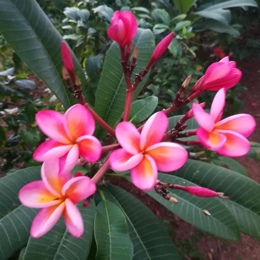 Sukriti Varkala