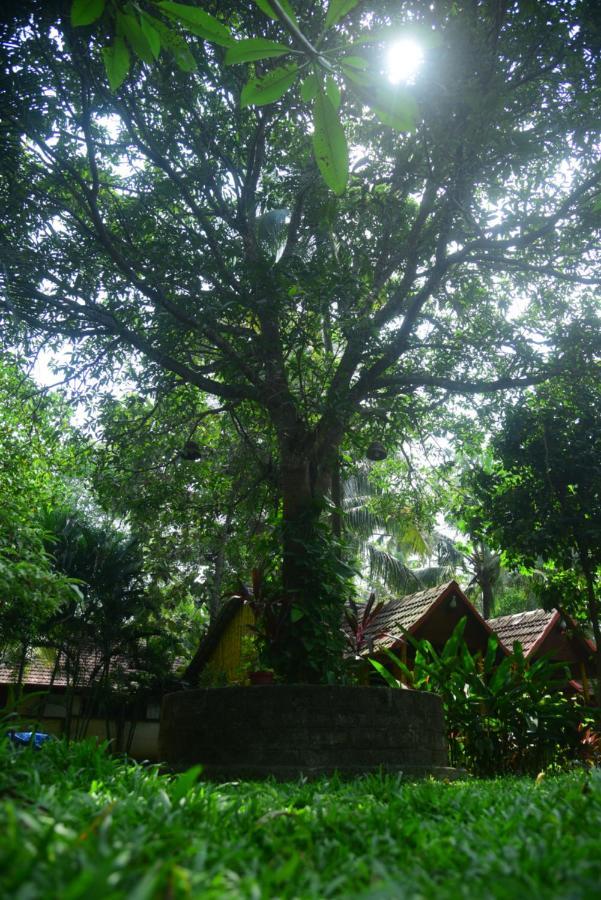 Savithri Villa