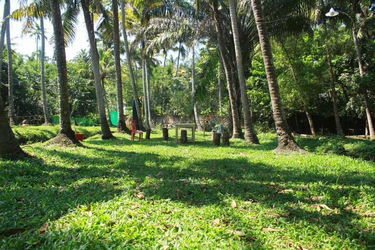 The Temple Tree Apartment Varkala