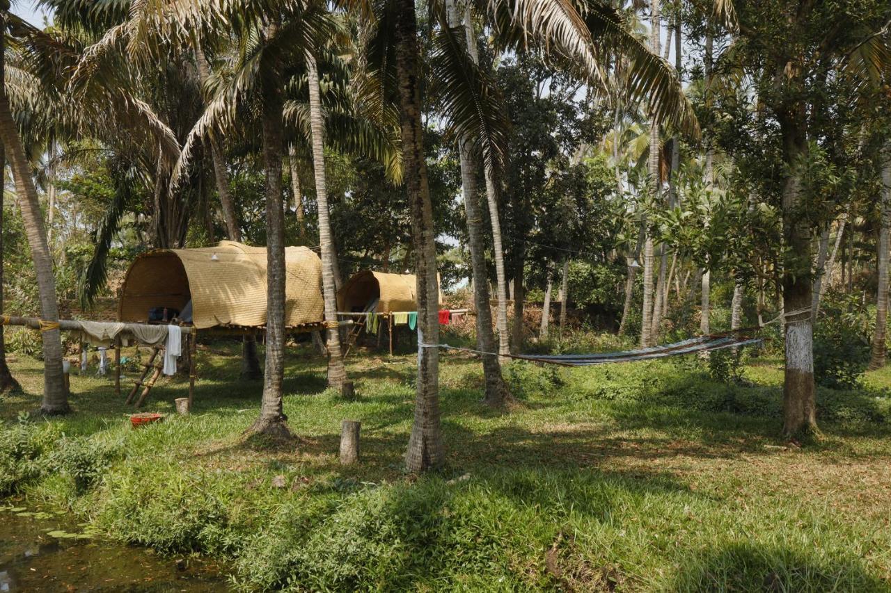 The Temple Tree Apartment Varkala