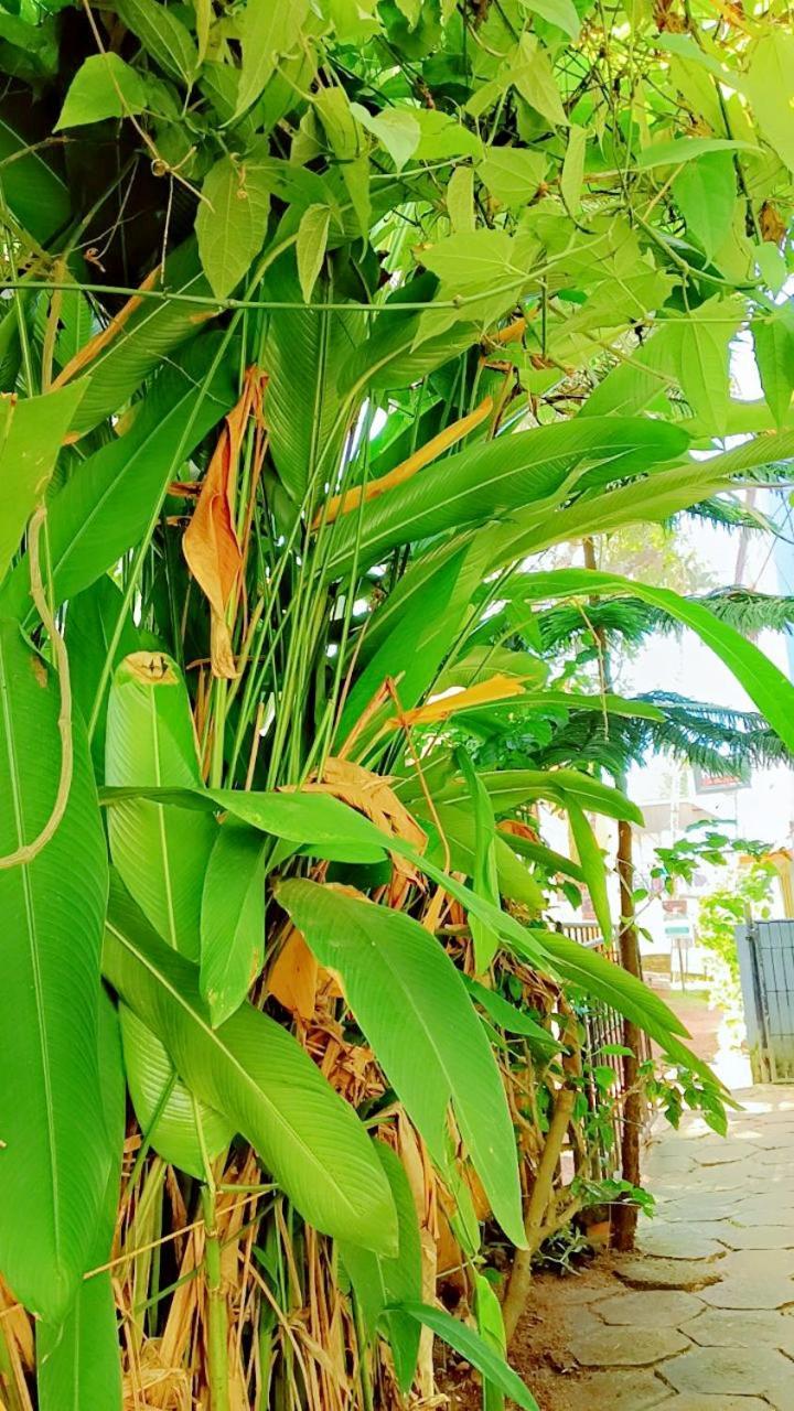 Sudheendram Lodge *