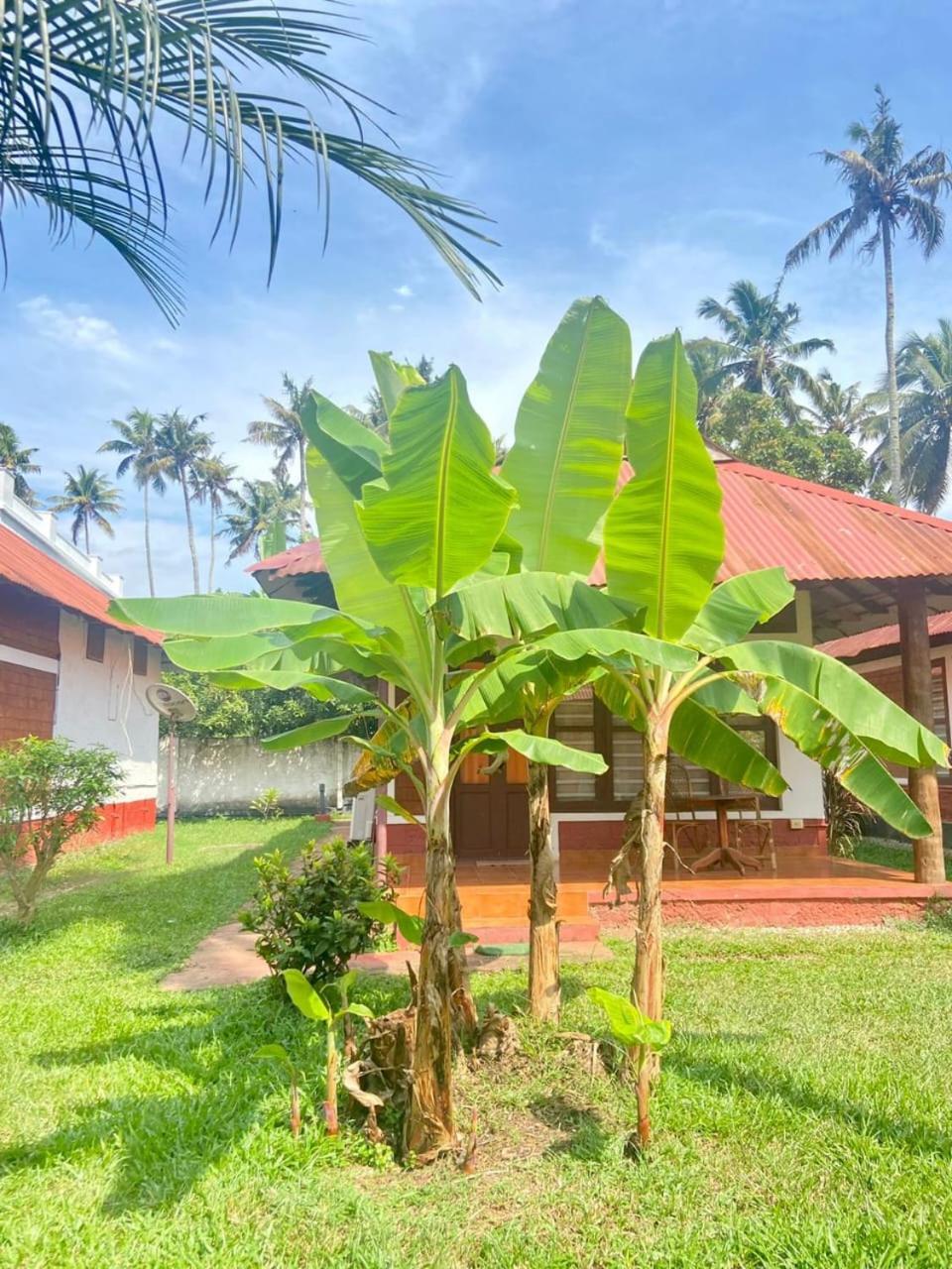 Hill View Ayurvedic Beach Resort Varkala