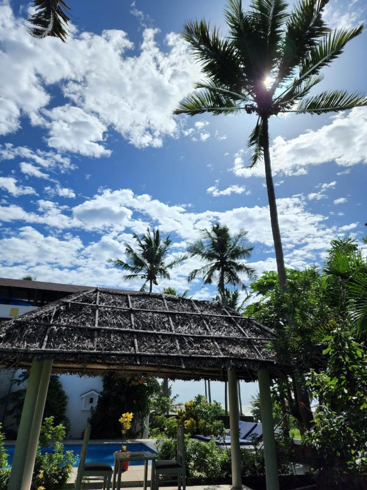 Guest house Magnolia 3*