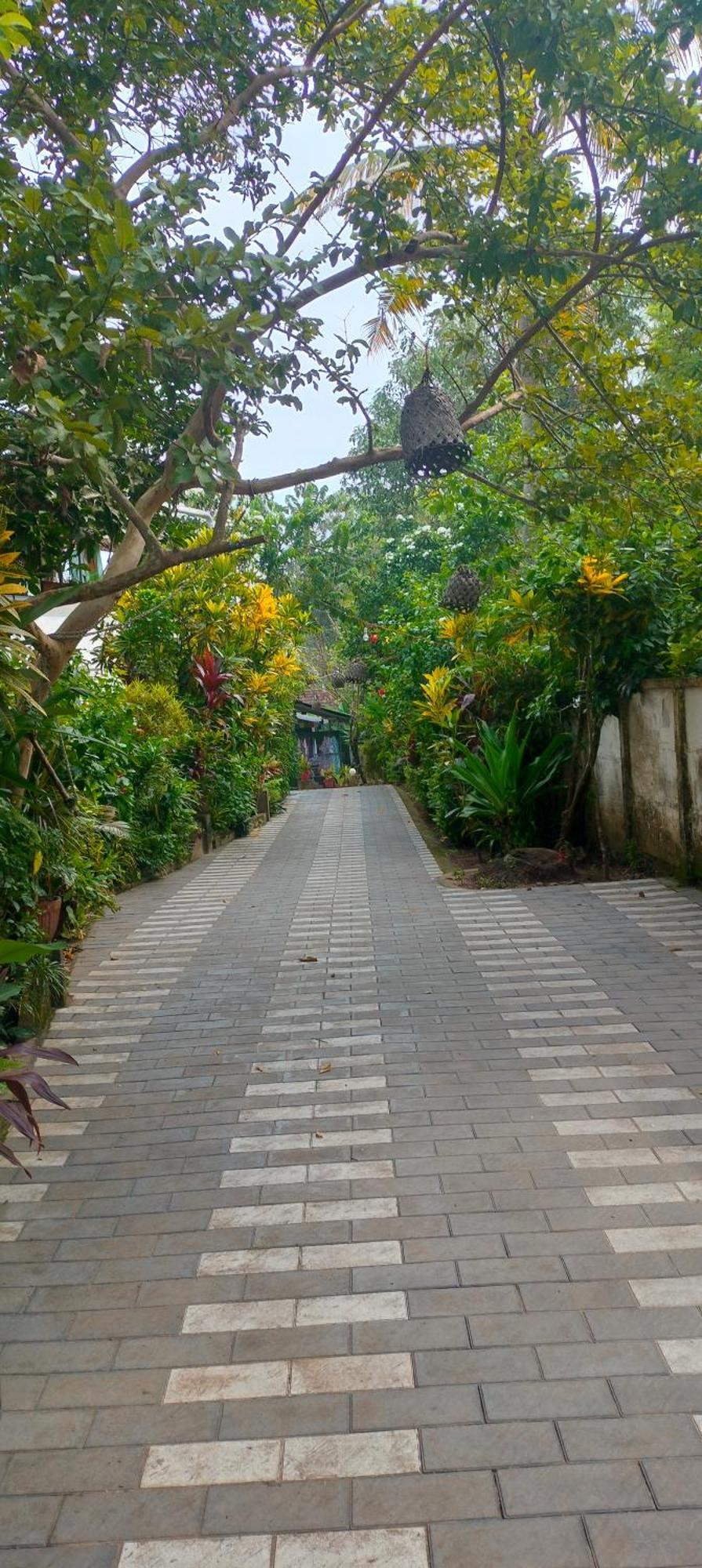 Standard Flat Varkala