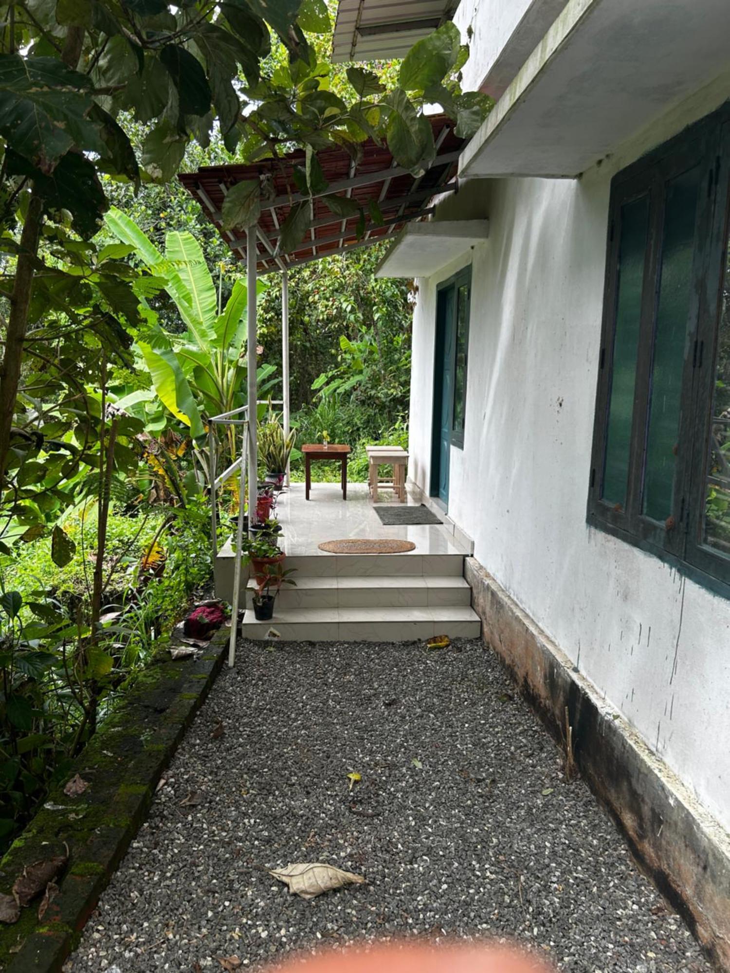 Homestay Mangohome *