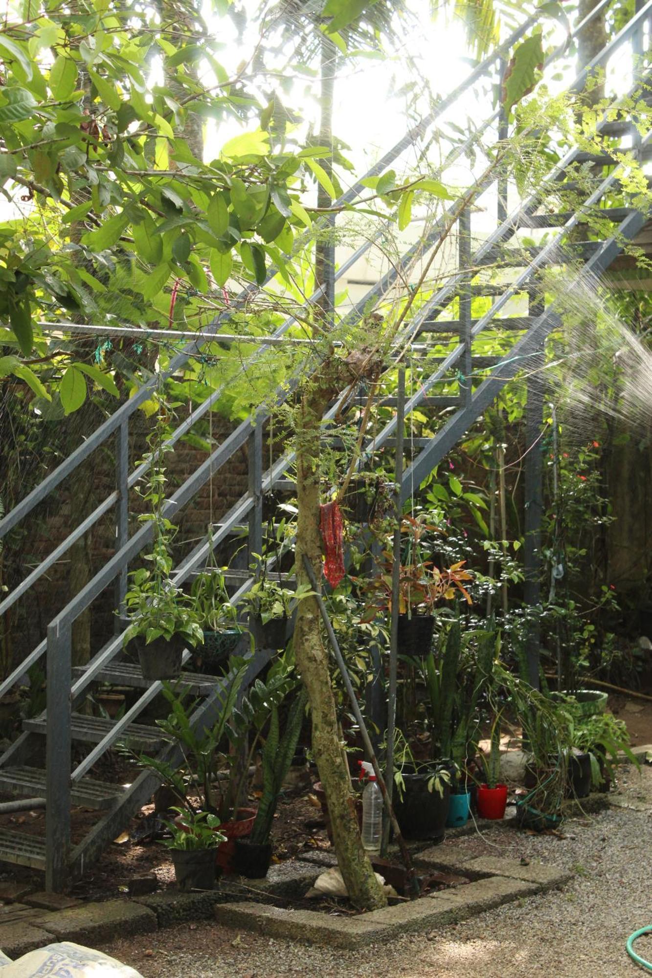 Homestay Greens Varkala