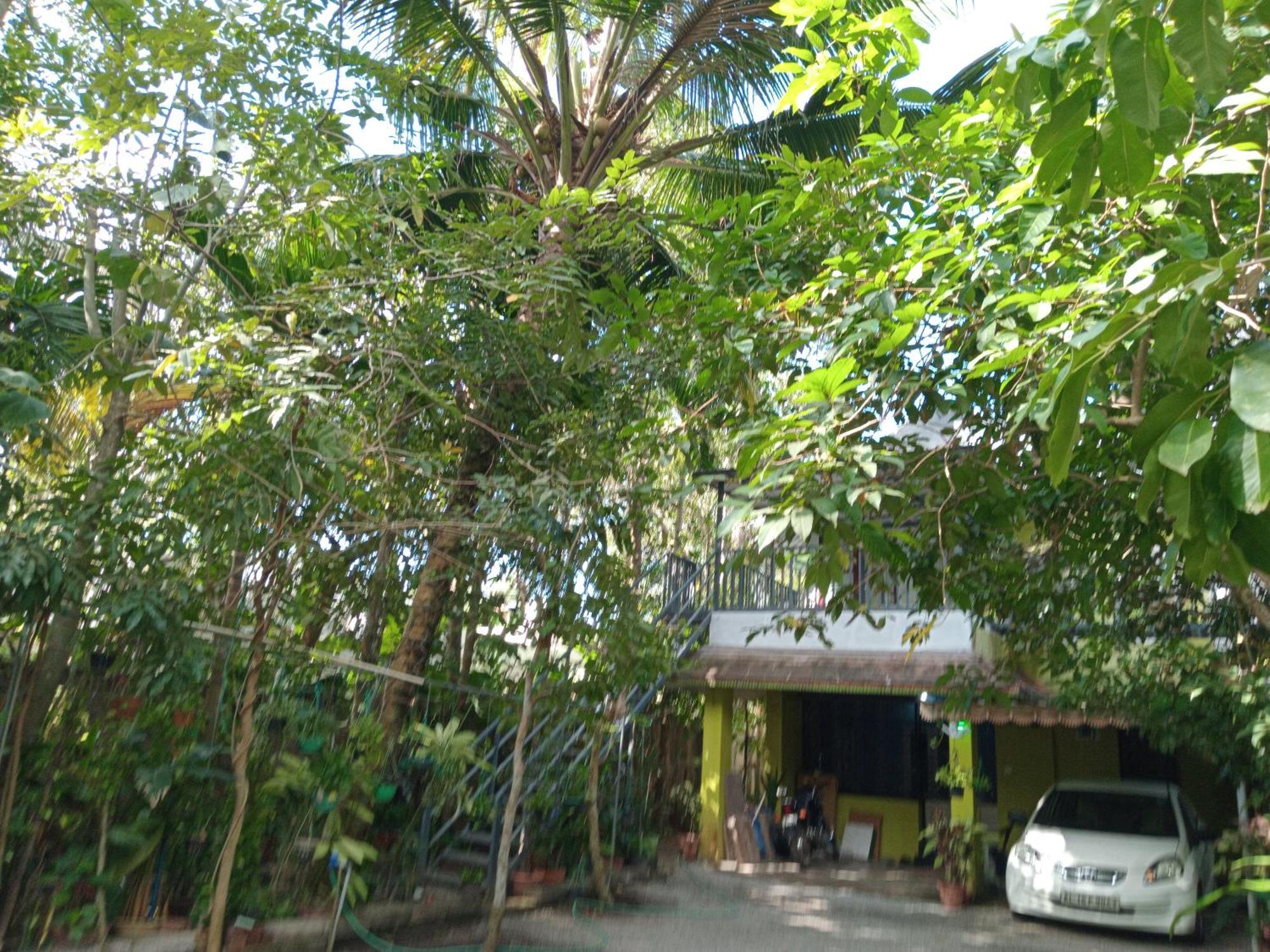 Greens Homestay