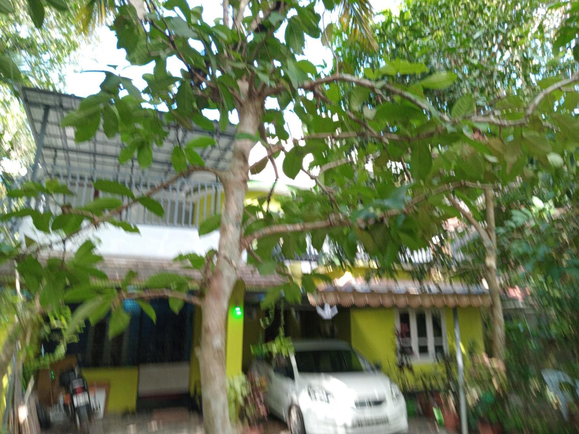 Greens * Varkala
