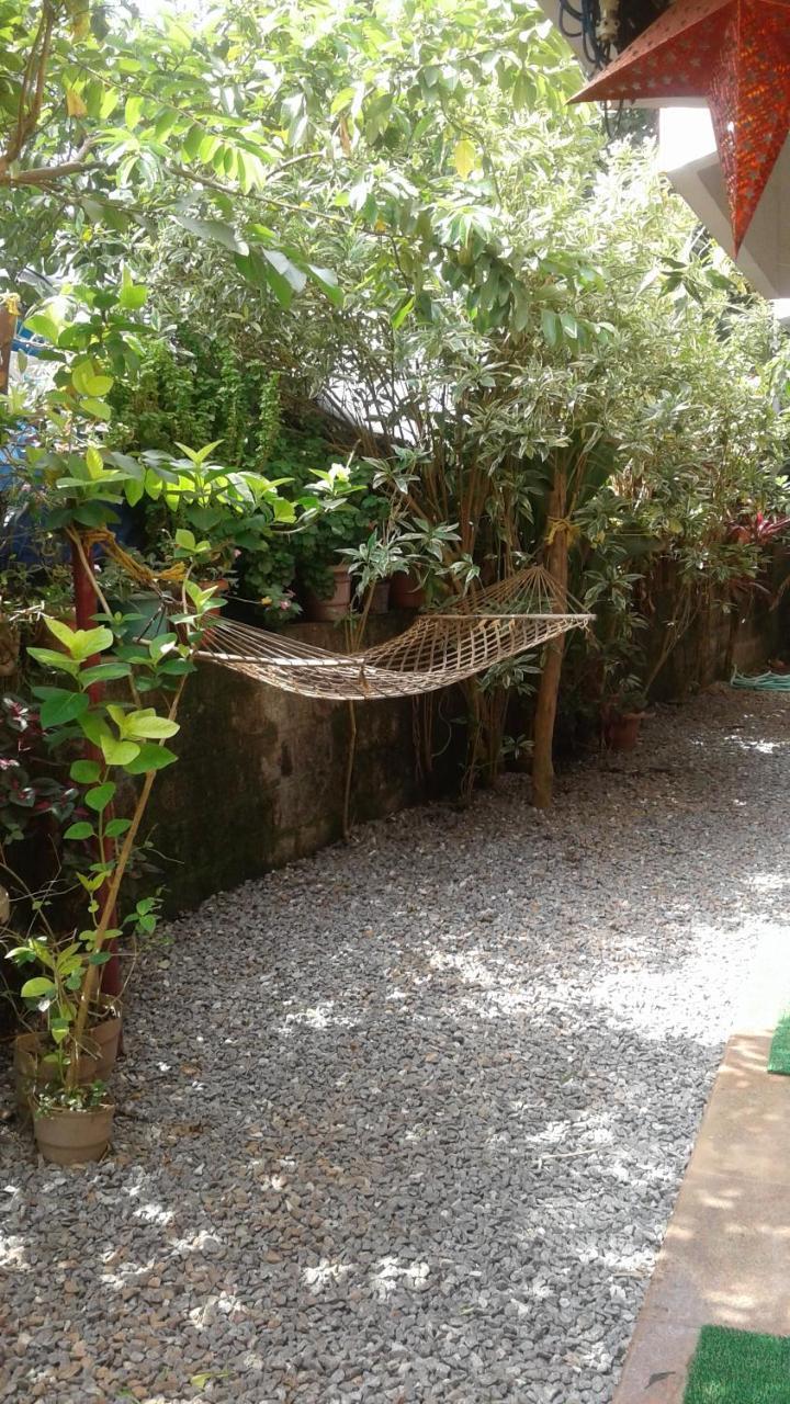 Guest house Baby House Varkala