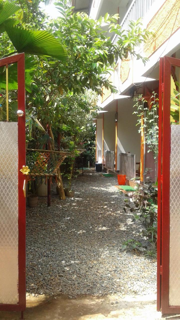 Guest house Baby House *
