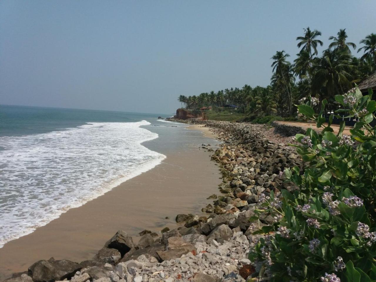Sukriti *