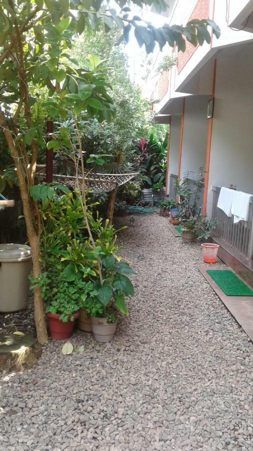 Baby House Guest house *